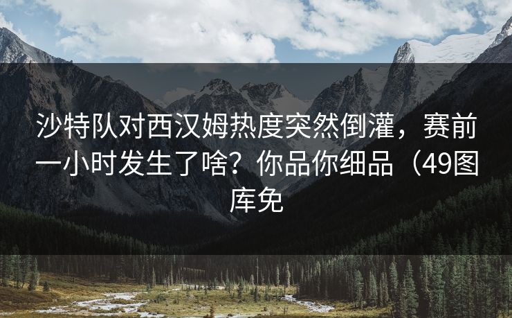 沙特队对西汉姆热度突然倒灌，赛前一小时发生了啥？你品你细品（49图库免