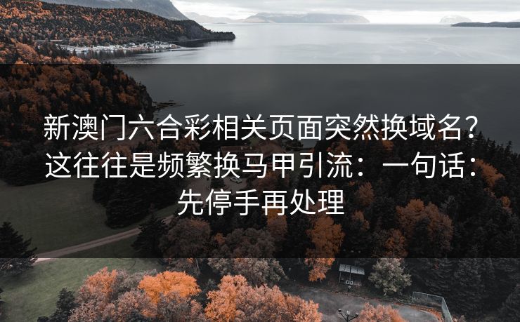 新澳门六合彩相关页面突然换域名？这往往是频繁换马甲引流：一句话：先停手再处理