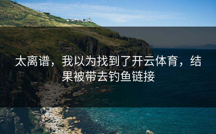 太离谱，我以为找到了开云体育，结果被带去钓鱼链接