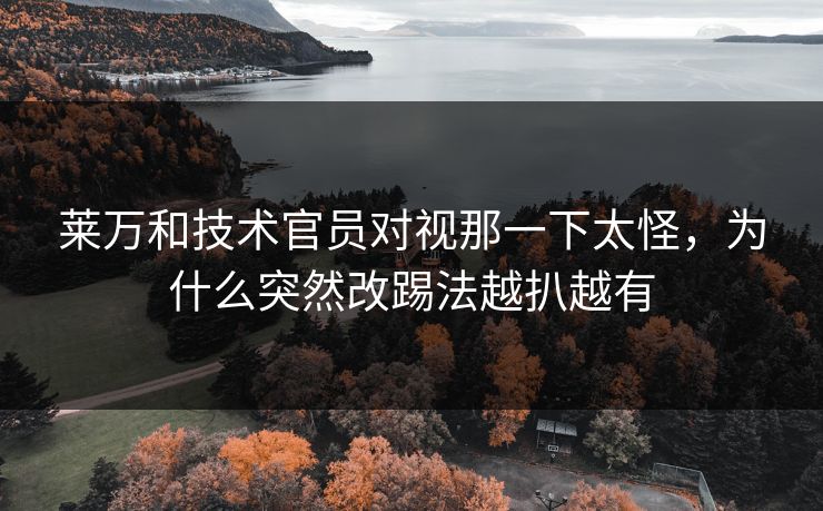 莱万和技术官员对视那一下太怪，为什么突然改踢法越扒越有