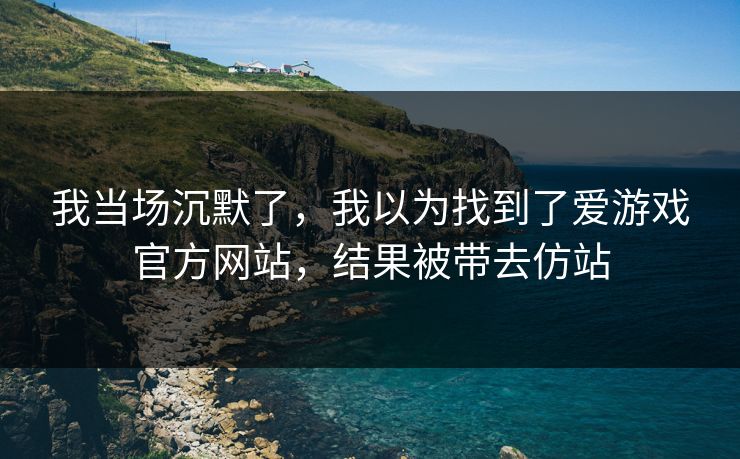 我当场沉默了，我以为找到了爱游戏官方网站，结果被带去仿站